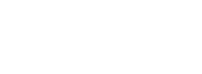 Wise Logo